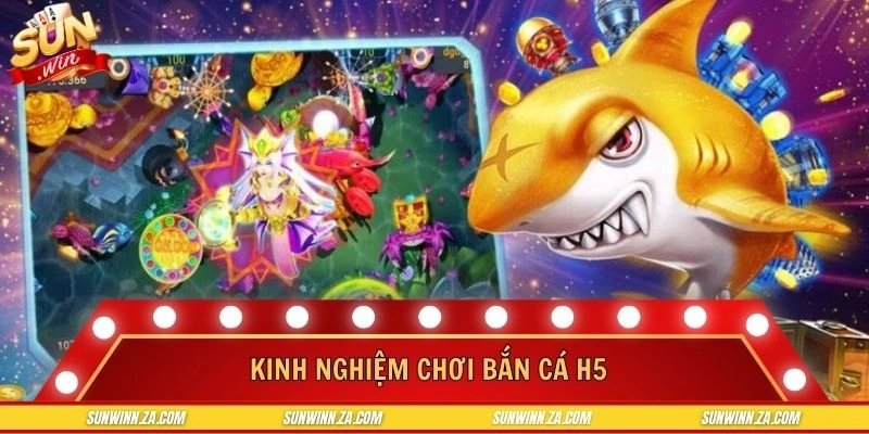 Kinh nghiệm săn sinh vật biển đổi thưởng lớn